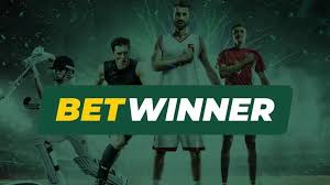 استعراض شامل لمنصة Betwinner كل ما تحتاج معرفته